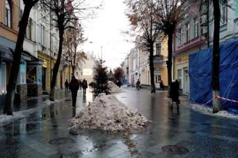 Житомир заказал уборку тротуаров