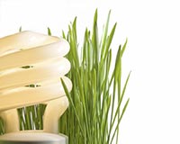 Какие энергоэффективные решения предлагают компании в Украине