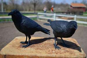 Курьезы садово-парковой архитектуры: окончание. Фото