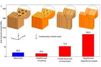 В США превратили дерево в материал прочнее стали и титана