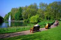 Киев создал уже более 270 га зеленых зон