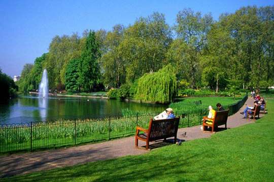 Киев создал уже более 270 га зеленых зон