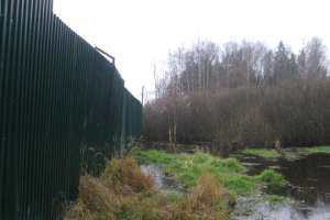 300 га карпатских лесов отдали под частную застройку