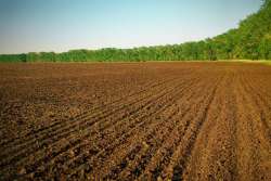 Правительство поможет купить землю