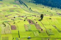 Данные о земучастках раскроют