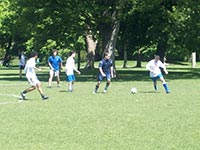 В парках и скверах столицы скоро появятся новые спортивные площадки