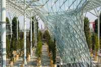 На каждого жителя города высадят по дереву