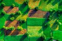 В Украине продали более 100 тысяч гектаров земли