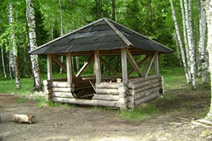 Суд отказался забирать у компании застроенный участок леса под Киевом