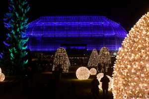 В Берлине появился Рождественский сад. Фото