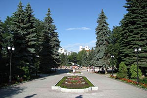 В Винницкой области построят дендропарк