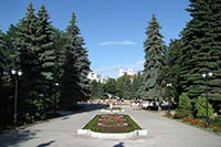 В Винницкой области построят дендропарк