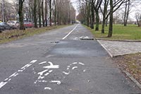 Стала известна стоимость строительства веломаршрута в Киеве