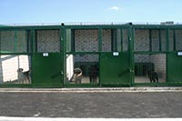 ЕС профинансирует строительство приюта для животных в Черновцах