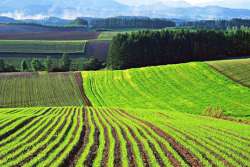 Рассмотрение дела о рынке земли перенесли