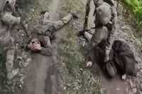 Как российские военные сдаются в плен украинцам