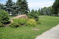 Днепропетровск обратил взор на зеленые насаждения