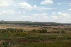 Частники захватили госземлю под Луганском