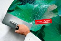 Бионические строительные материалы копируют свойства живых организмов и растений