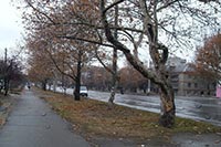 У строителя в Николаеве хотят забрать самострой