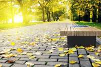 Во львовских парках появятся эксклюзивные скамейки