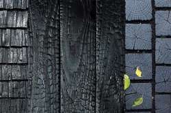 Старинная японская технология консервации древесины существует до сих пор