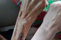 Как голодали в осажденном Мариуполе