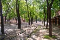 Как строилась Одесса: Французский бульвар. Видео-2