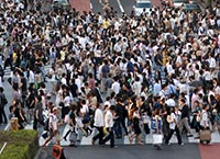 Жители Львовской области снова перекрыли дороги 