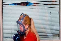 Что происходит на рынке мансардных окон в условиях карантина