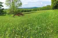 Земли начнут консервировать