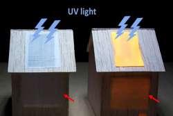 Создана люминесцентная древесина, способная осветить комнату