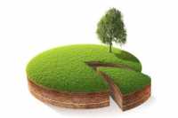 За первую продажу земли налога не будет