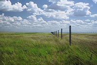 Земли Минобороны хотели присвоить и застроить