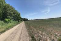 Больше всего земли продают в Киевской области