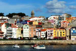 Цветам и строительным материалам посвятили отдельный путеводитель