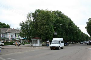 В Фастове магазин в кафе превратили с нарушениями