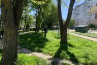 У Тернополi впорядкували 780 прибудинкових територiй