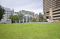 В Севастополе под частную застройку отдали зеленую зону