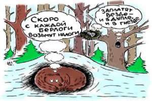Что делать, если уведомление об уплате налога на недвижимость не пришло