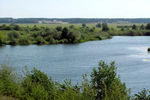 На Волыни продадут 535 га земли под строительство