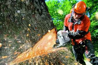 Как правильно заточить цепь бензопилы. Видео