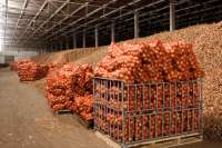 Мебельный комбинат не пустил ГАСК на строительство овощехранилища