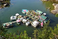 Построен искусственный экологически чистый остров из вторсырья