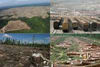 Си требует от пу отдать Сибирь