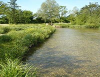 Суд оставил участок в прибрежной полосе Днепра за самовольно занявшей его компанией