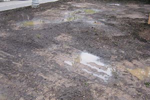 В Голосеевском районе Киева уничтожили газоны на 17 млн. грн.