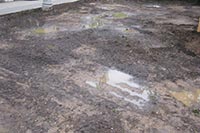 В Голосеевском районе Киева уничтожили газоны на 17 млн. грн.