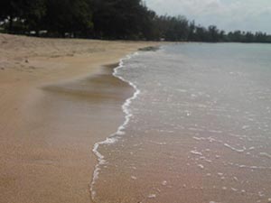 В Одесской области суд забрал у компании выданный с нарушениями участок у моря