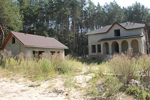 При бывшем президенте 366 га леса отдали под застройку